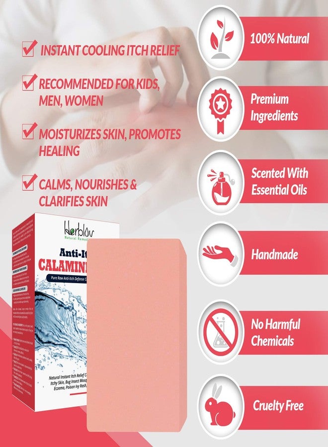 هيربلوڤ صابون طبيعي فوري لتخفيف الحكة - صابون كالامين مهدئ للبشرة المتهيجة، لدغات الحشرات (البعوض أو النمل)، الأكزيما، طفح اللبلاب السام، جدري الماء - منظف طبيعي نقي مضاد للحكة للعناية بالبشرة - Image 3